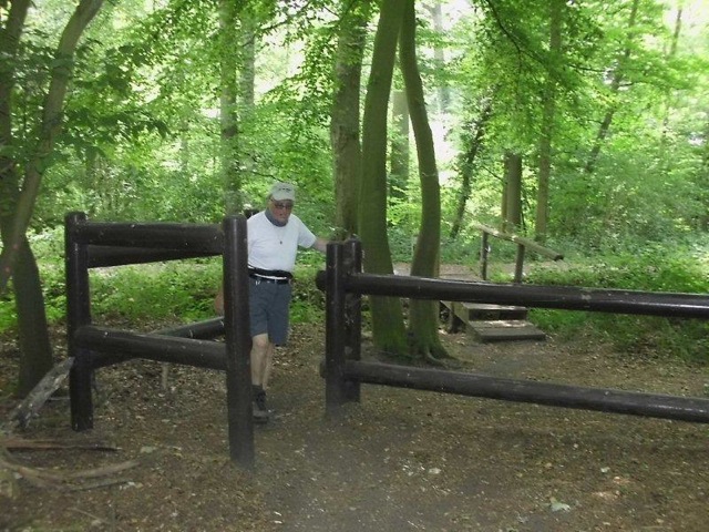 Loading Image